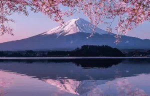 富士山