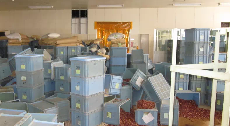 東日本大震災直後の生薬倉庫　画像