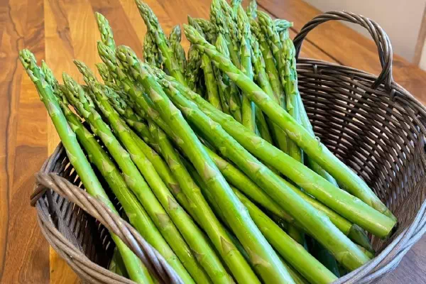 asparagus image