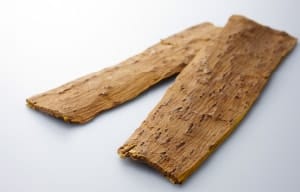 Obaku (Phellodendron bark) image