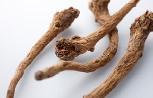 Ogon (Scutellaria root) image