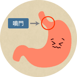 噴門　イメージ