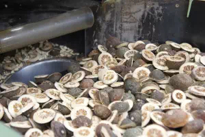 工場　イメージ