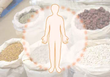 漢方が体全体にはたらきかけるイメージ