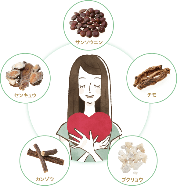 サンソウニン、チモ、ブクリョウ、カンゾウ、センキュウのイメージ