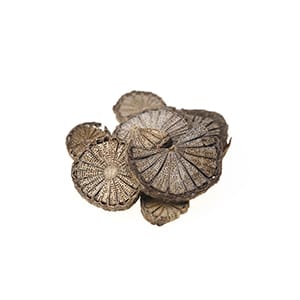 ボウイ（漢方）イメージ