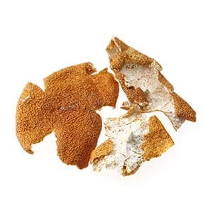 チンピ（漢方）イメージ