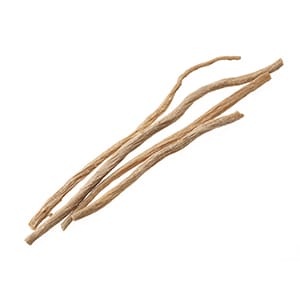 ゴシツ（漢方）イメージ