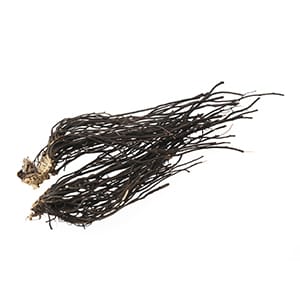 イレイセン（漢方）イメージ