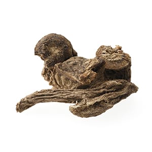 キョウカツ（漢方）イメージ