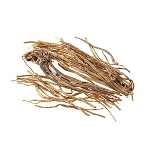 リュウタン（漢方）イメージ