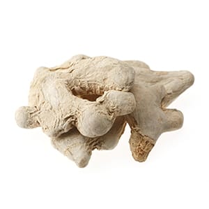 ショウキョウ（漢方）イメージ