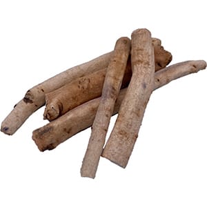 シャクヤク（漢方）イメージ